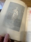 Bild 13 von 19
