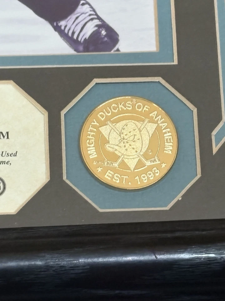 Paul Kariya Anaheim Mighty Ducks Framed Photo & Game Used Net FREE SHIPPING - Image 4 of 4