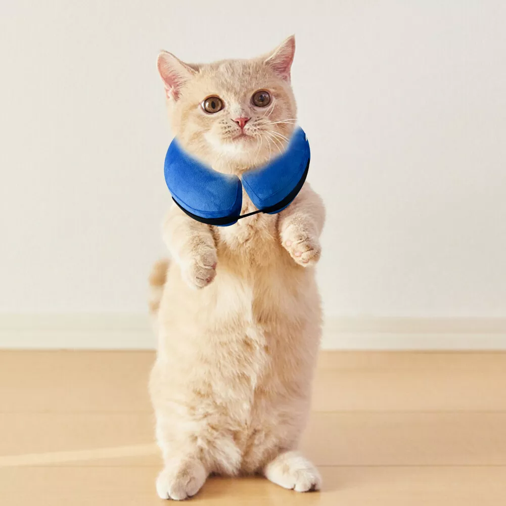 Inflatable Cat E collar Adjustable Dog Neck Cone Recovery Pet