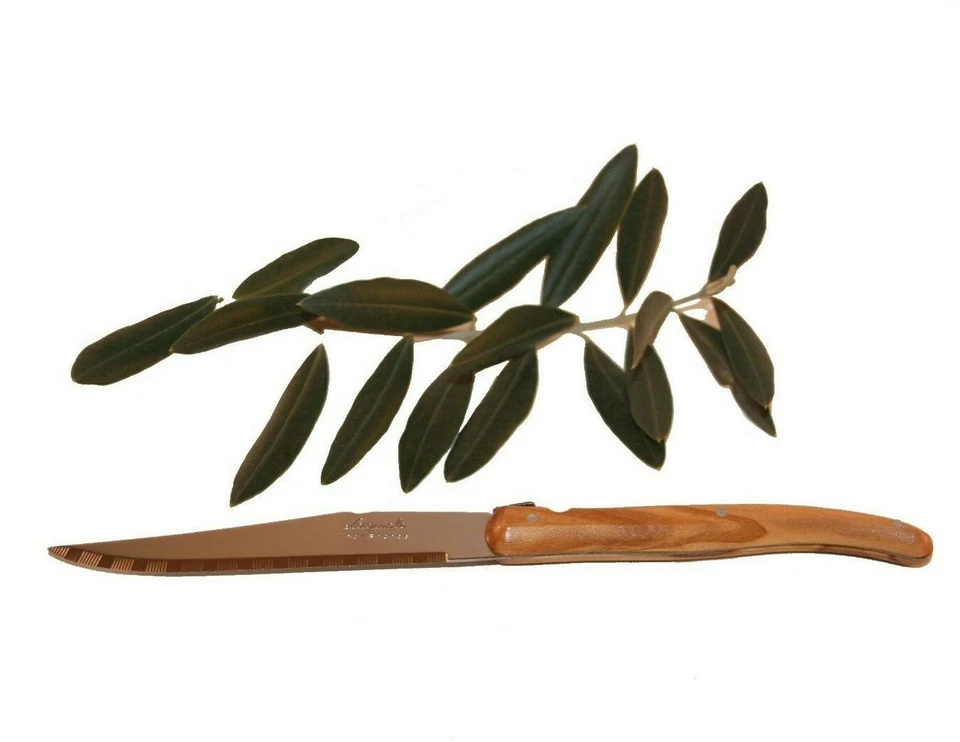 LAGUIOLE Couteau de table manche en bois d'olivier 7008