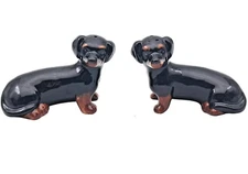 Dachshund novelty Salt & Pepper shaker set ceramic Sausage Dog lover gift boxed