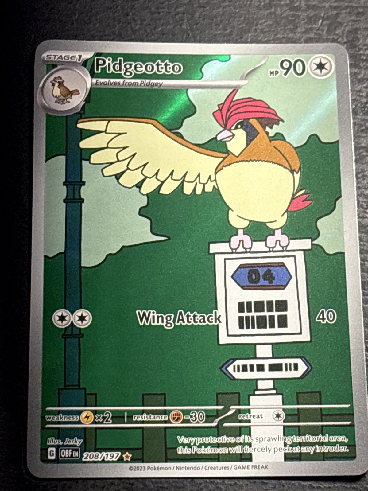 Pidgeotto 208/197 Pokemon TCG Obsidian Flames Illustration Rare Card NM