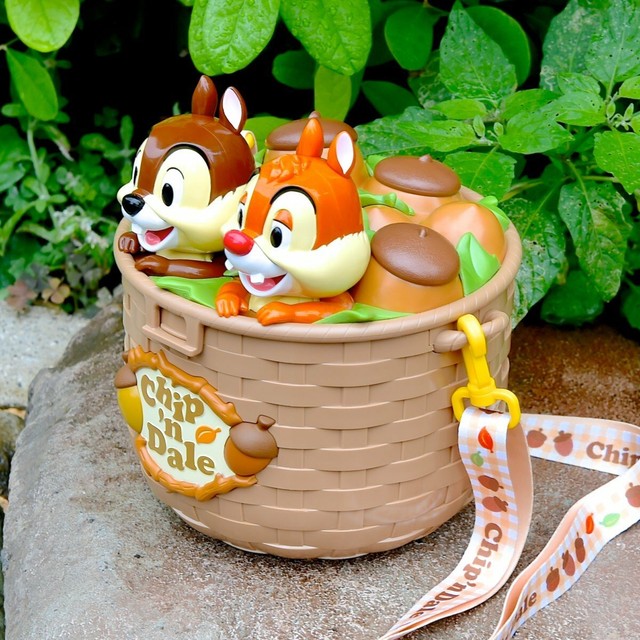 Tokyo Disney Resort Chip and Dale Popcorn Bucket TDR eBay