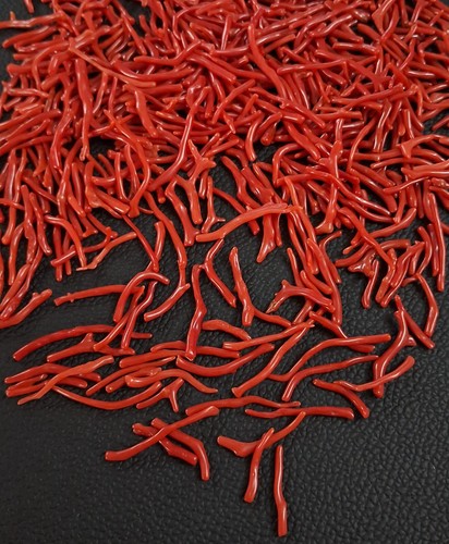 25Ct Natural Mediterranean Sea Italian Red Coral Reef Polish Rough Free Shipping