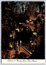 Hawaii Thurston Lava Tube Vintage Postcard Continental