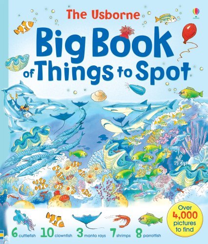 The Big Book of Things to Spot,Gillian Doherty, Anna Milbourne, Ruth Brocklehur