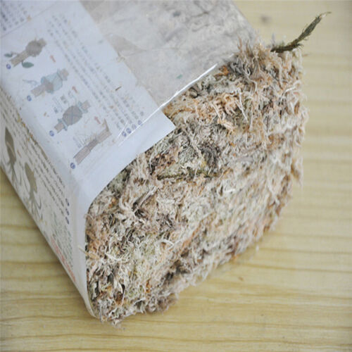 6L Sphagnum Moss Potting Mix Moisturizing Peat Dry Moss Orchid Gardening Plants