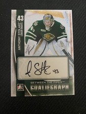 2013-14 In The Game Between the Pipes #A-AS Anthony Stolarz Goaliegraphs