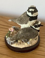 Country Bird Collection "Little Ringed Plover" Andy Pearce 2003, H: 11cm