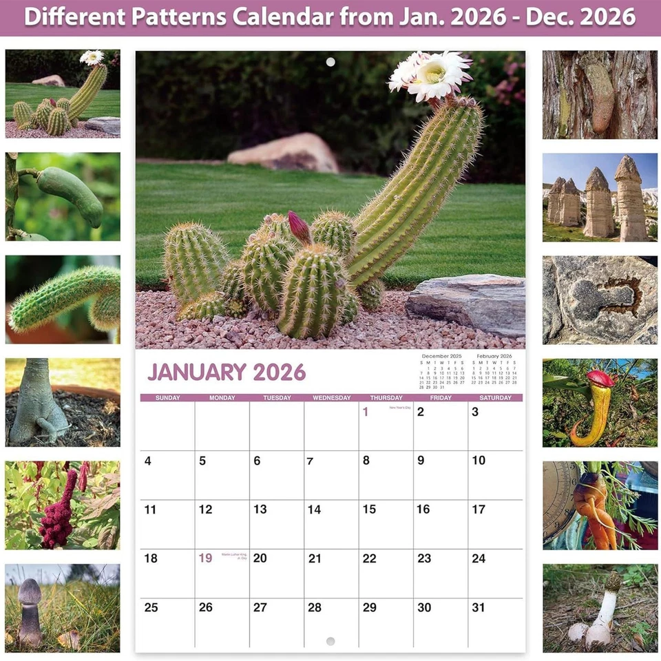 2026 Wall Calendar Nature's D*ck Pics Calendar Month to View Funny Gag Gift - image 4 of 4