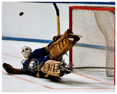 Buffalo Sabres Goalie Roger Crozier Kick Save Game Action Color 8 X 10 Photo Pic