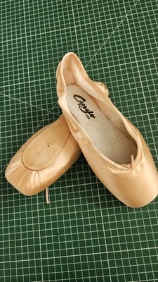 Capezio Spitzenschuhe Ungetragen