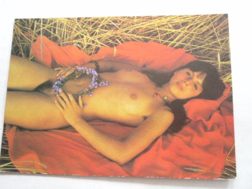 AK nackte Frau im Stroh liegend Schönheit Blumenkranz Akt Nude Erotik DDR 1985 - Imagen 1 de 2