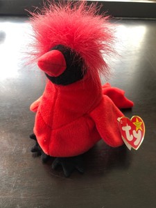 red bird beanie baby