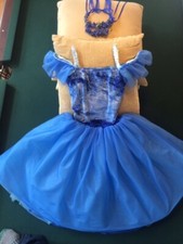 Blue Adult Ballet Romantic Tutu