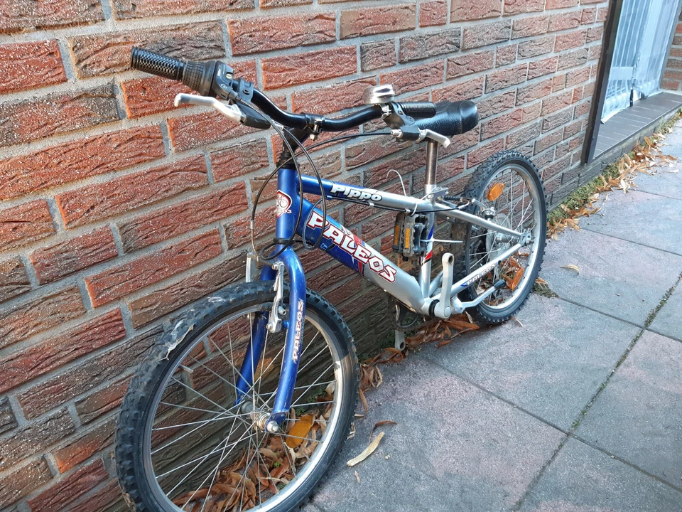 Kinder Fahrrad Mountainbike 20 mit Kettenschaltung Paleos Pippo