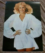Ms Suzanne Somers 1978 Three's Company TV Sexy White Blouse Pro Arts Poster VG