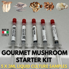 Kit Coltura Liquida Funghi Gourmet  5 Varietà Selezionate (3ml Luer Lock)