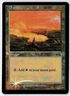 Plains - Foil - MTG Arena League 1999 Promo - RareCo