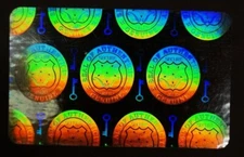 Hologram Overlays Vertical Shield and Key Inkjet Teslin ID Cards - Lot of 50