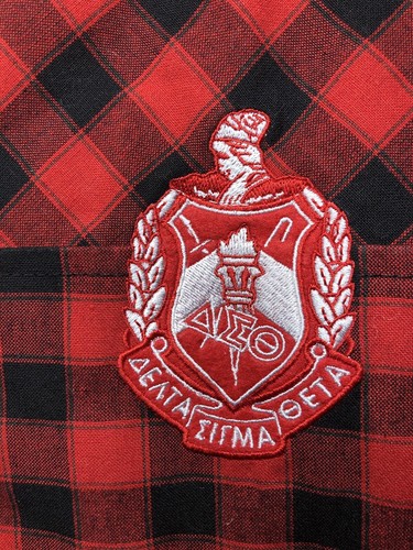 Dear Delta The Delta Box Delta Sigma Theta Buffalo Plaid Puffer Vest Size Large - Imagen 7 de 7
