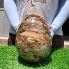 9.9LB Natural wood fossil Quartz Crystal egg Mineral specimen Healing — photo 4