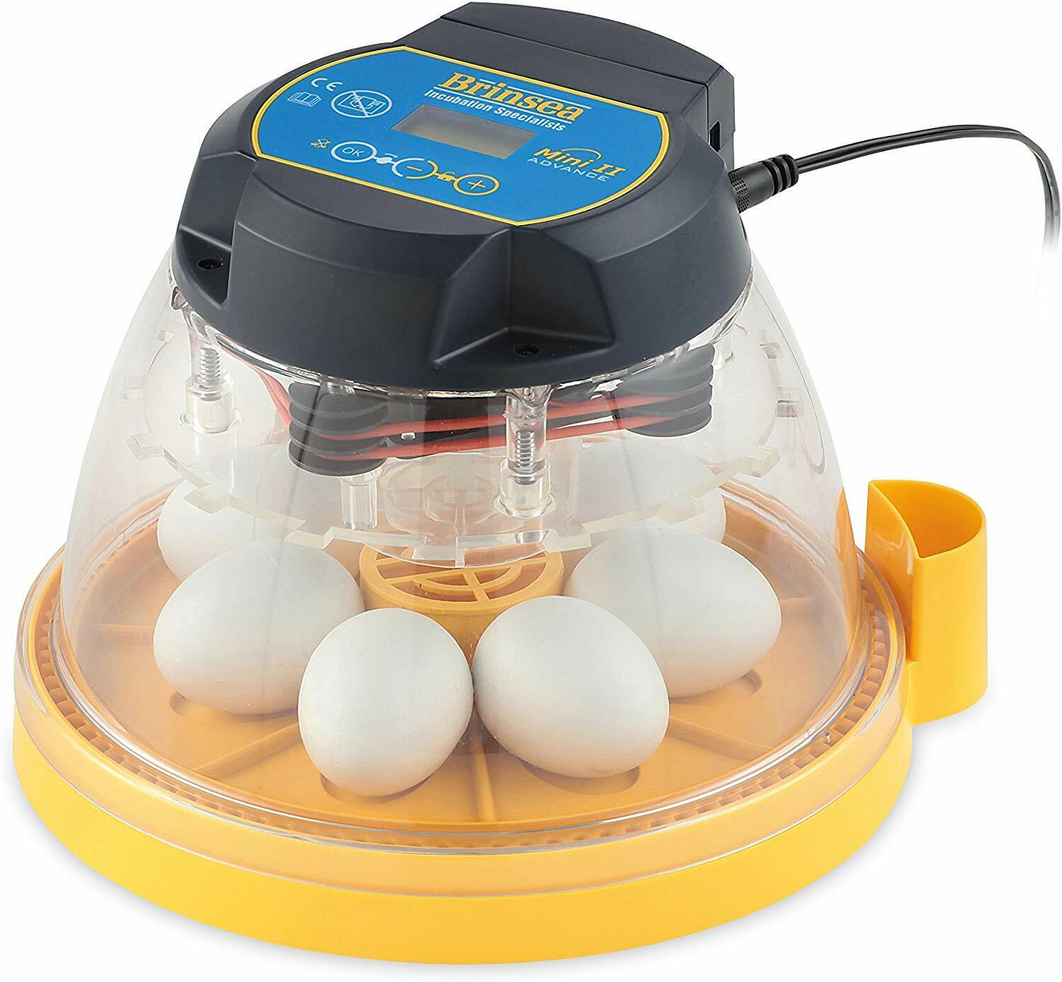 Brinsea Products Mini Ii Advance Automatic 7 Egg Incubator, One Size