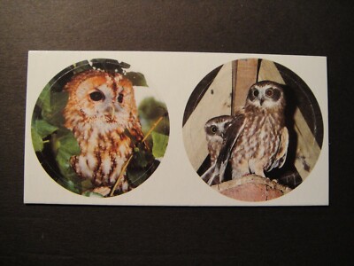 Cadbury Birds Of Prey Pogs 1998 #13.8 JOINED PAIR  UNUSED OWLS HAWKS EAGLES 