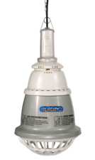 RIFLETTORE PORTALAMPADA RISCALDATORE PER ANIMALI ALADINO 250