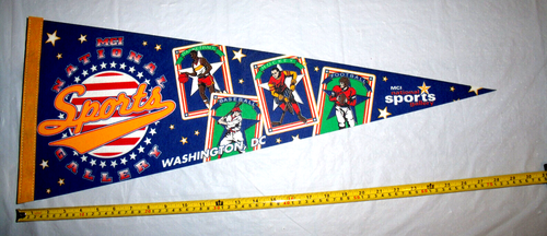 MCI National Sports Gallery Washington D.C Original Full Size Pennant MCI Center