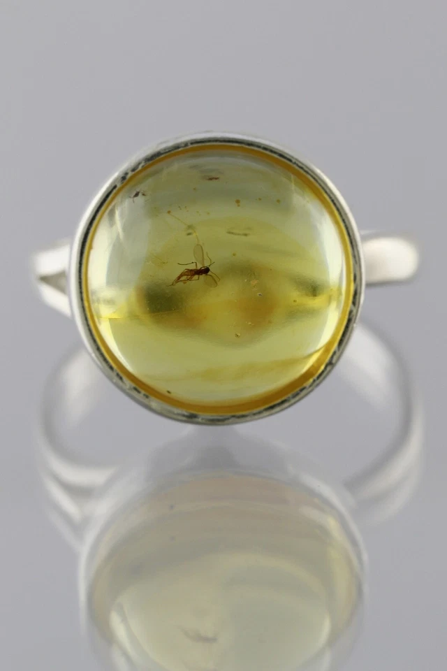 Anillo Ajustable Plata Ámbar Báltico Genuino Inclusión Insecto Fósil 191029-22 Foto 2 de 4