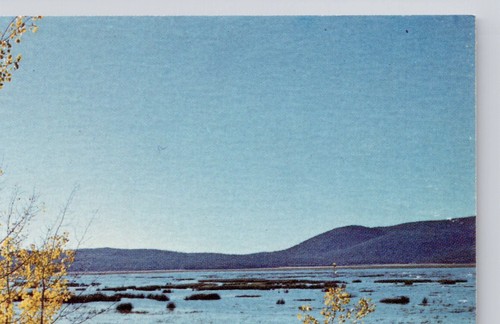 Vintage Postcard Morman Lake South Of Flagstaff Arizona - 第 9/14 張圖片