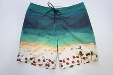 American Eagle Board Shorts Athletic Water Swim Graphic Performance Mens Medium