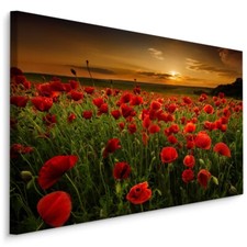 Canvas picture canvas wall art XXL poppy field sunset 3D 1724