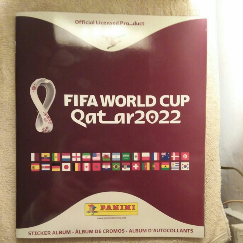 2022 Panini FIFA World Cup soccer sticker album Qatar With stickers