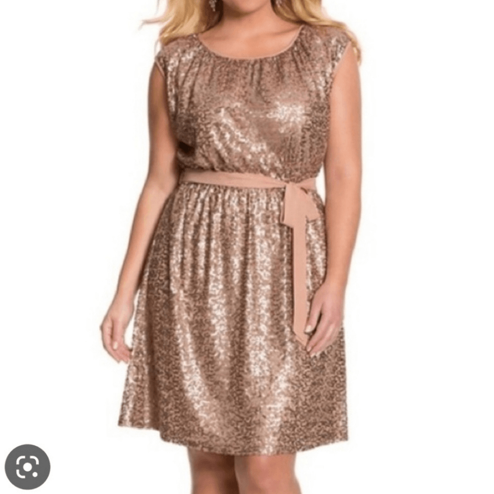 LANE BRYANT Bronze Sequin Dress - Size 18/20 | eBay