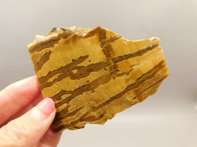 Indian Paint Stone Slab Unpolished Rough Rock Death Valley #O1
