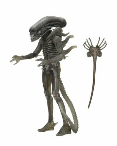 US$ 30.00 - (Pre-order)Present Toys Flight Officer Aliens Ripley 1