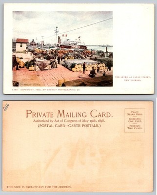 1900 New Orleans Canal Street Levee Steamboat Detroit Photographic Co. Postcard
