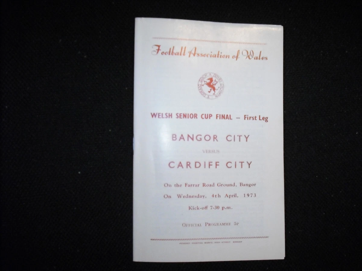 CARDIFF CITY V PORTSMOUTH 2008 (F.A. CUP FINAL) FOOTBALL PROGRAMME - FA