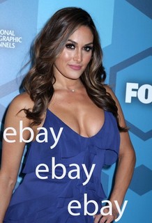 Nikki Bella 4x6 Color Photo #4