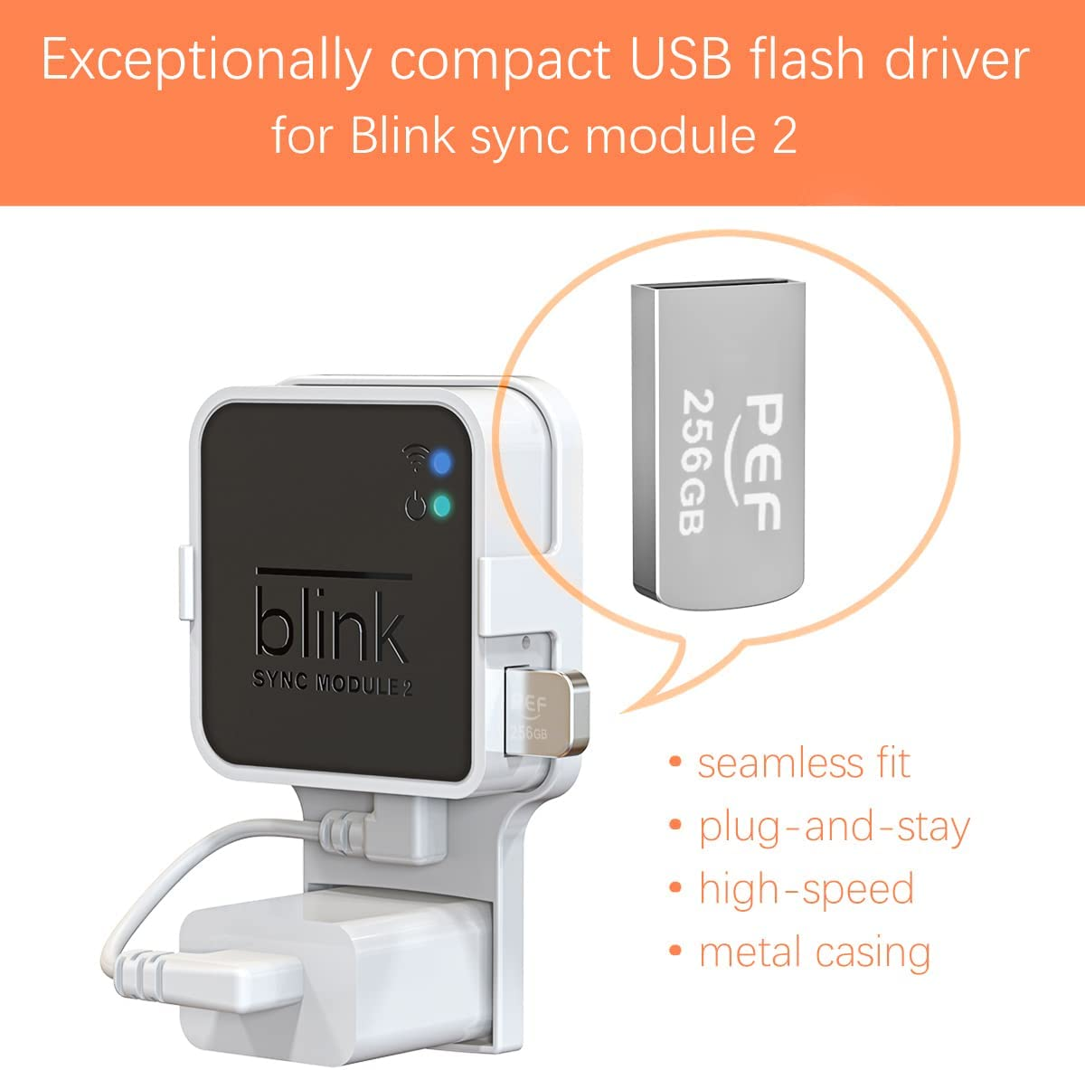 256GB Blink USB Flash Drive for Local Video Storage and the Outlet Mount for Bli eBay