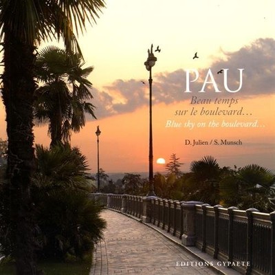 Pau, beau temps sur le boulevard by Julien, Dominique Book The Fast Free