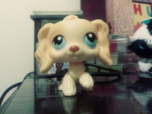 lps cocker spaniel 91