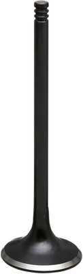 Nitratventil KIBBLEWHITE 20-21016