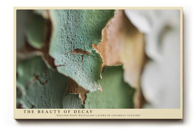 Paul Sinus Wandbild The Beauty of Decay   Ästhetik des Verfalls in Farbe und