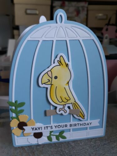 Hand Made Birdcage bird flower Yay! It's Your Birthday card happy birthday - NEW - Picture 1 of 1