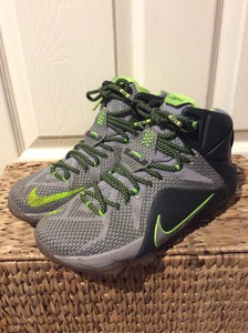 lebron 12 dunk force