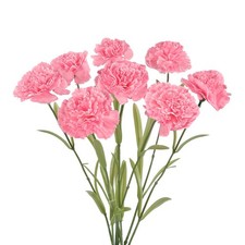 Carnations Artificial Flowers 8pcs Hot Pink Fake Carnations Real Touch Flower...