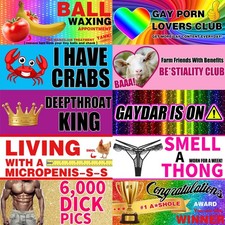 BkeeCten 12pcs Funny Car Magnet, Prank Magnetic Bumper Decals for Adult Waterpro